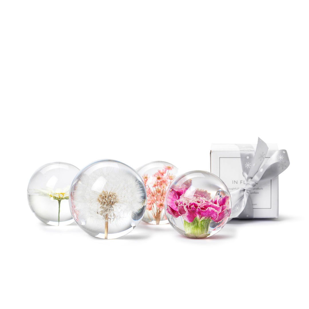 Dandelion Paperweight - Take Heart Shop - View #4